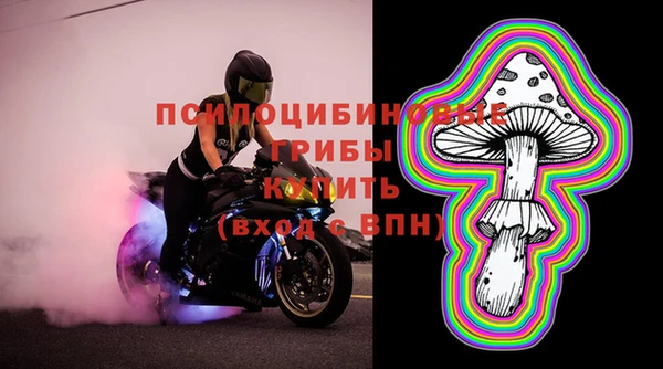 шишки Алексин