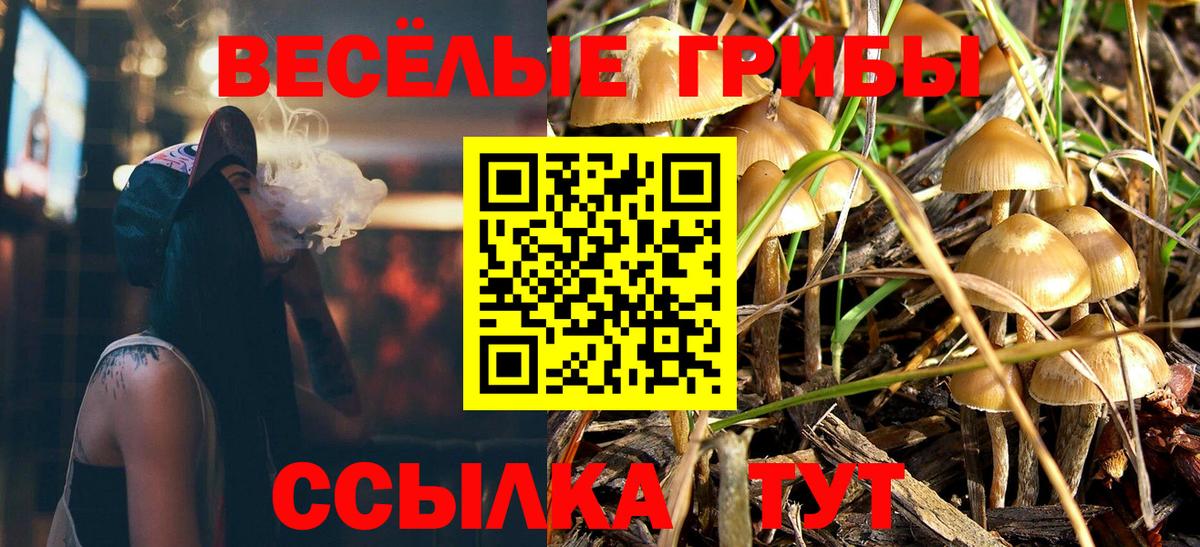 Псилоцибиновые грибы GOLDEN TEACHER Октябрьский